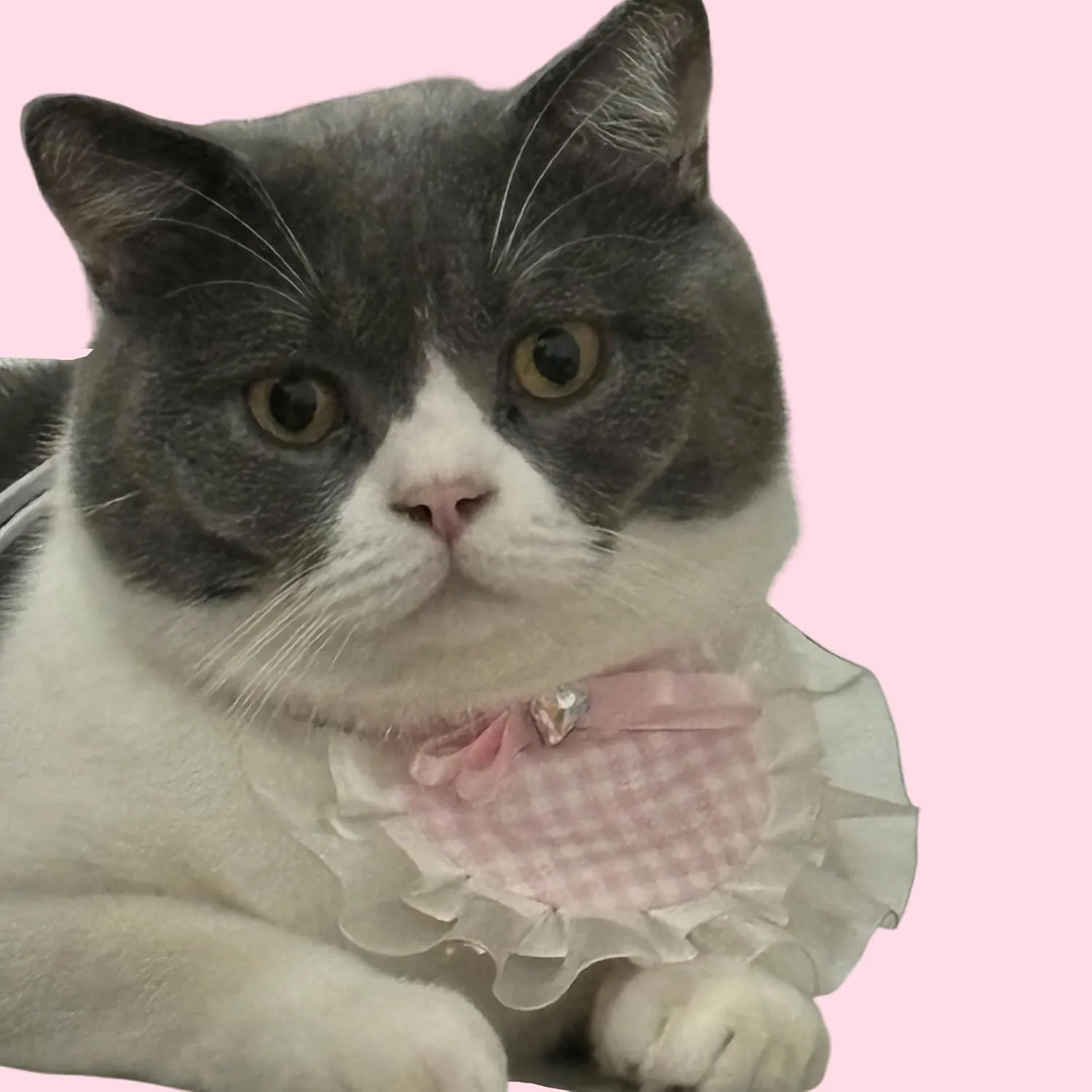 Adjustable Dog Bandana with Elegant Plaid Lace Trim, Colorful Heart Pendant, and Stylish Bowknot (Pink, 5 inches - 21 inches)