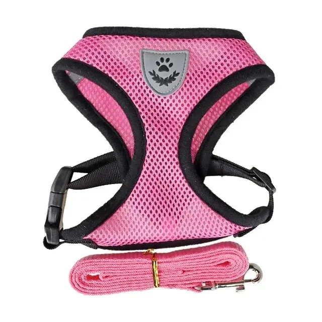 Cat Dog Harness with Lead Leash Adjustable Vest Polyester Mesh Breathable Harnesses Reflective sti for Small Dog Cat accessories