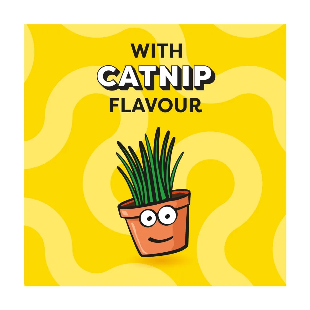 Dreamies Cat Treats - Catnip 60g