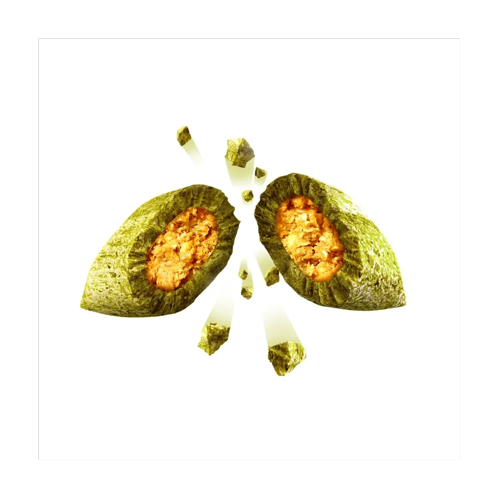 Dreamies Cat Treats - Catnip 60g