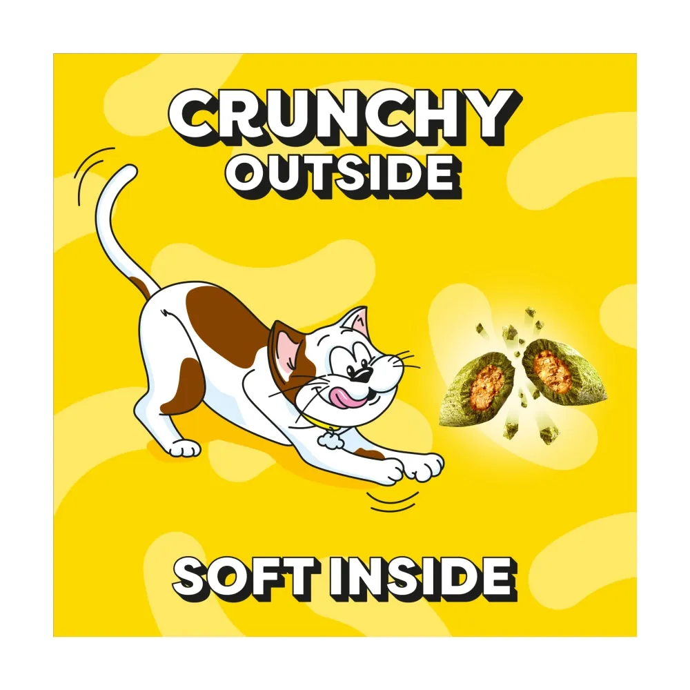 Dreamies Cat Treats - Catnip 60g