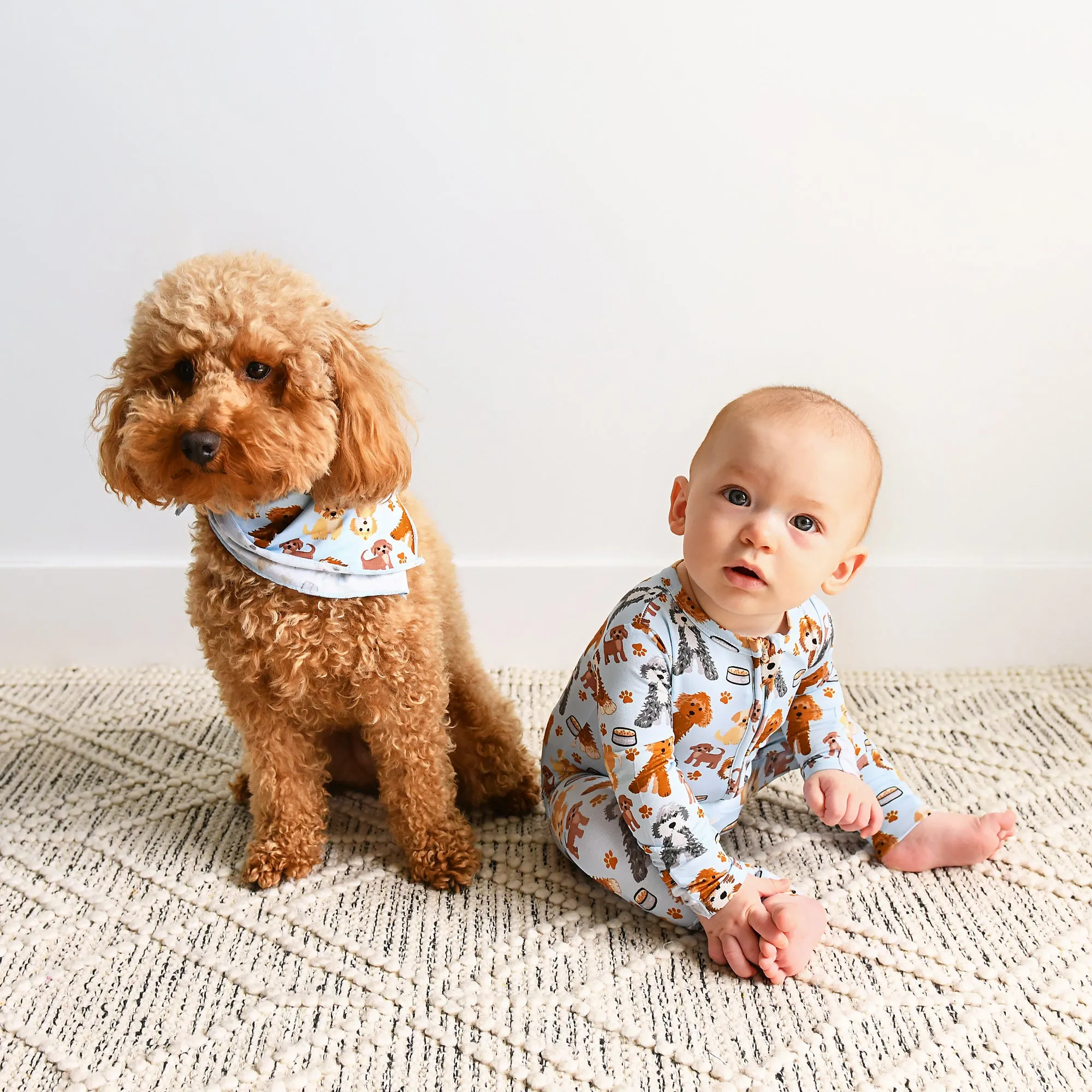 Griffin DOG BANDANA