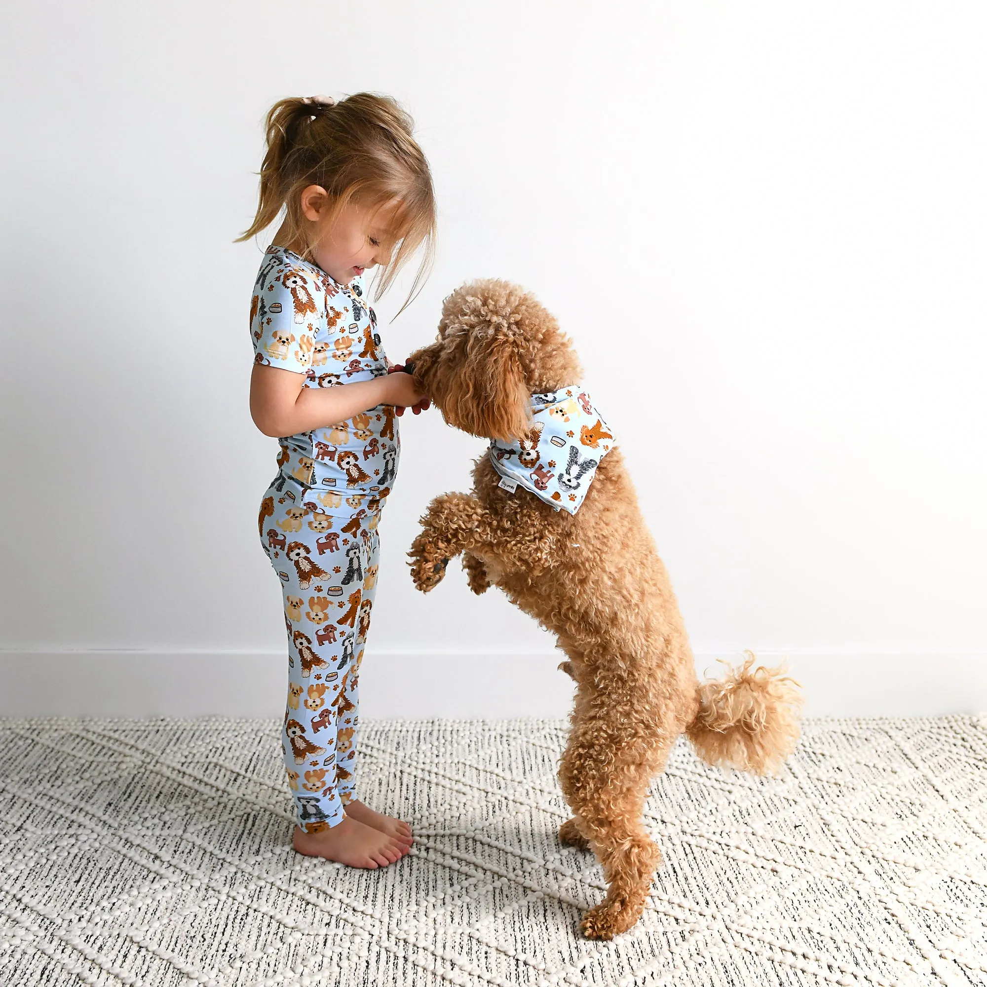 Griffin DOG BANDANA