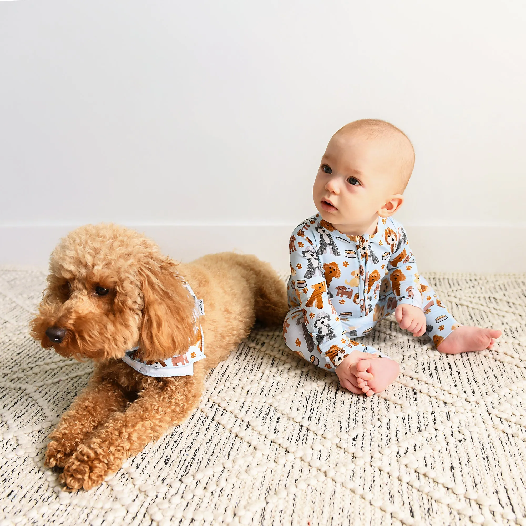 Griffin DOG BANDANA