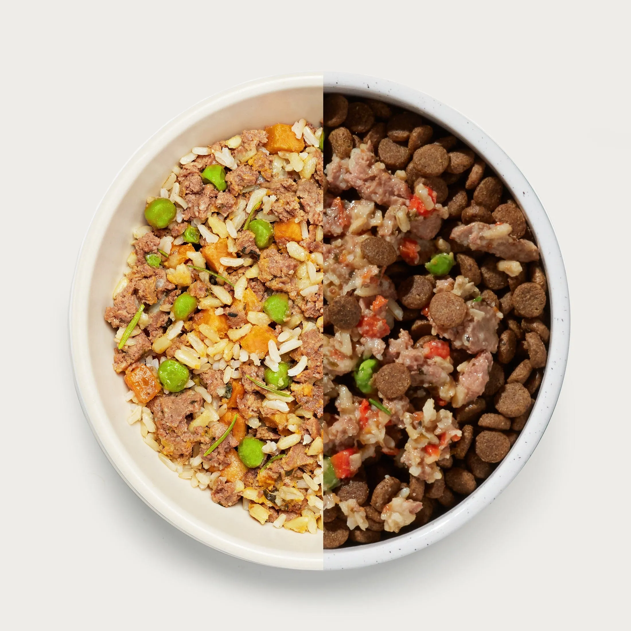 Homemades Wet Dog Food Sampler Pack
