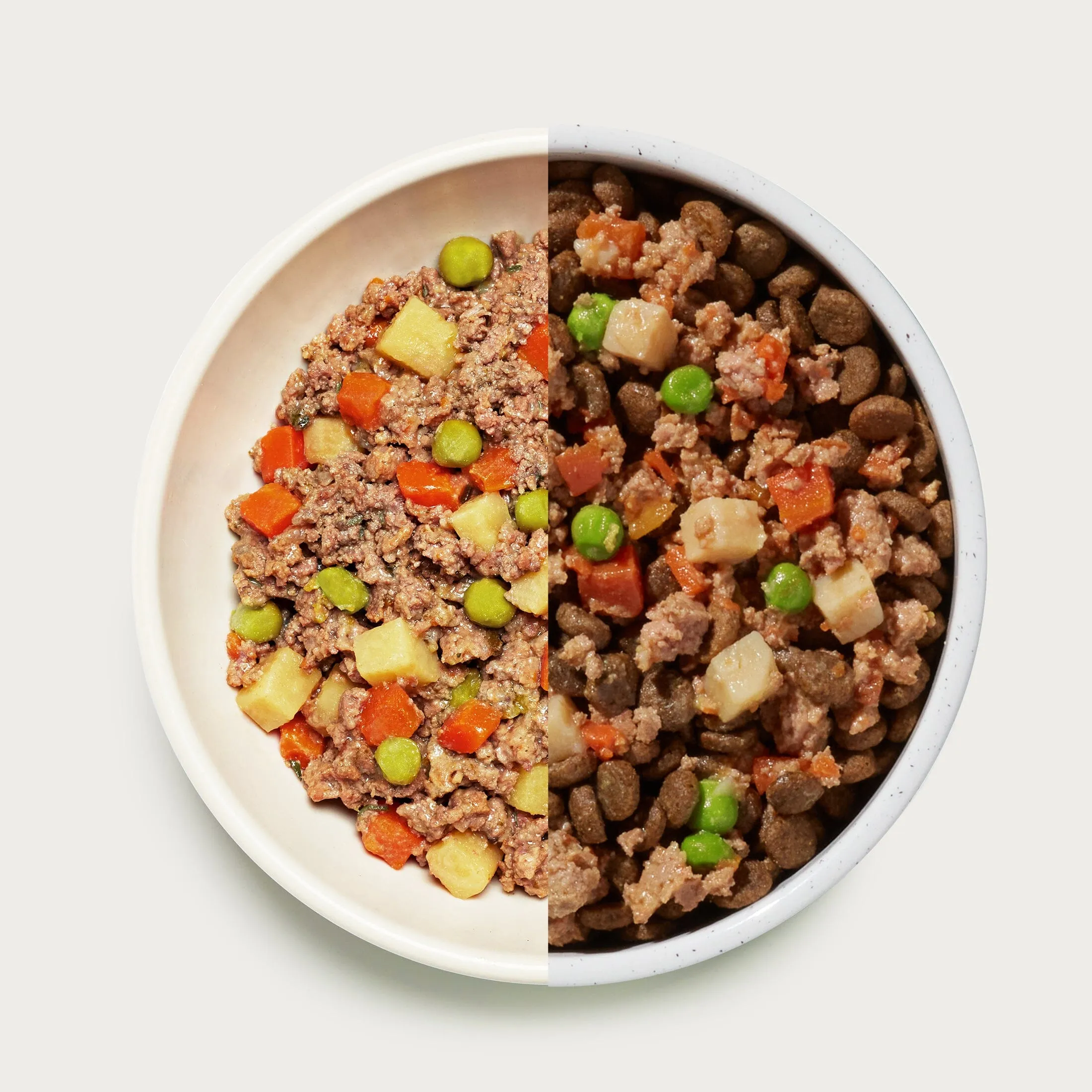Homemades Wet Dog Food Sampler Pack