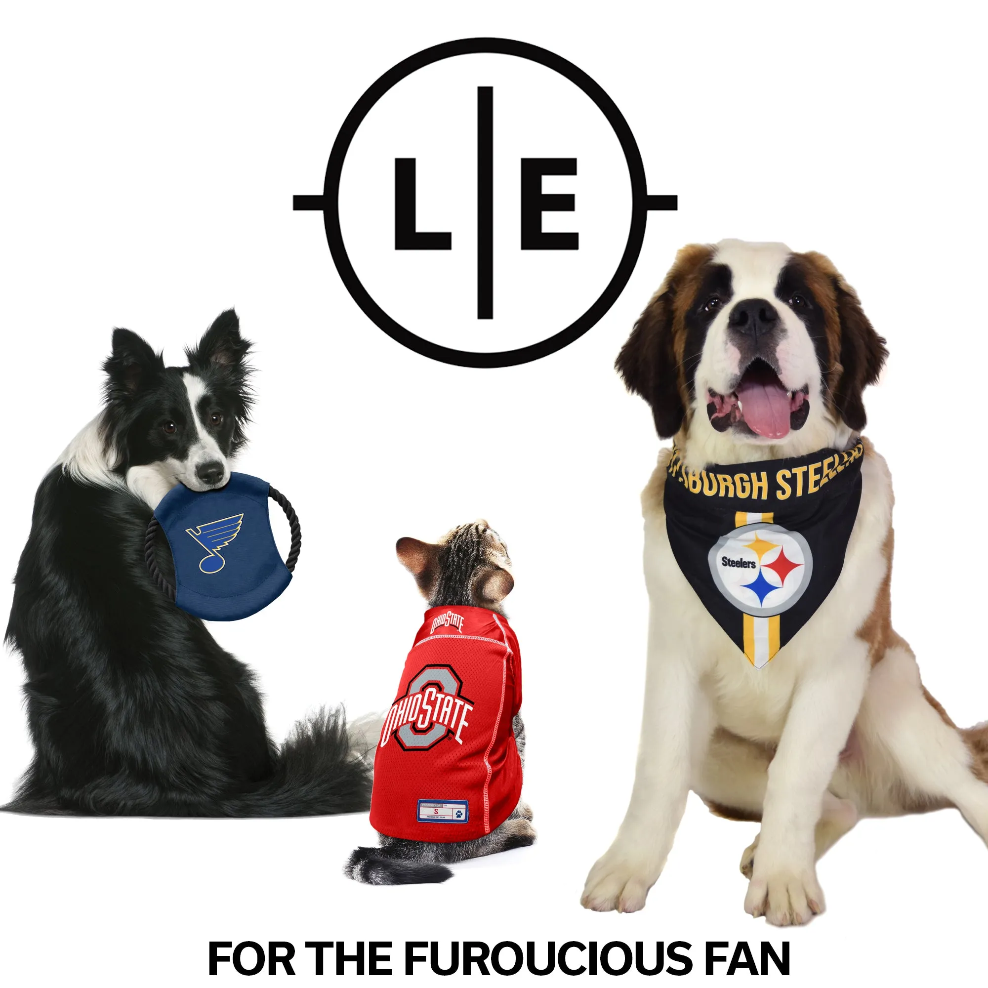 Houston Texans Pet Bandana