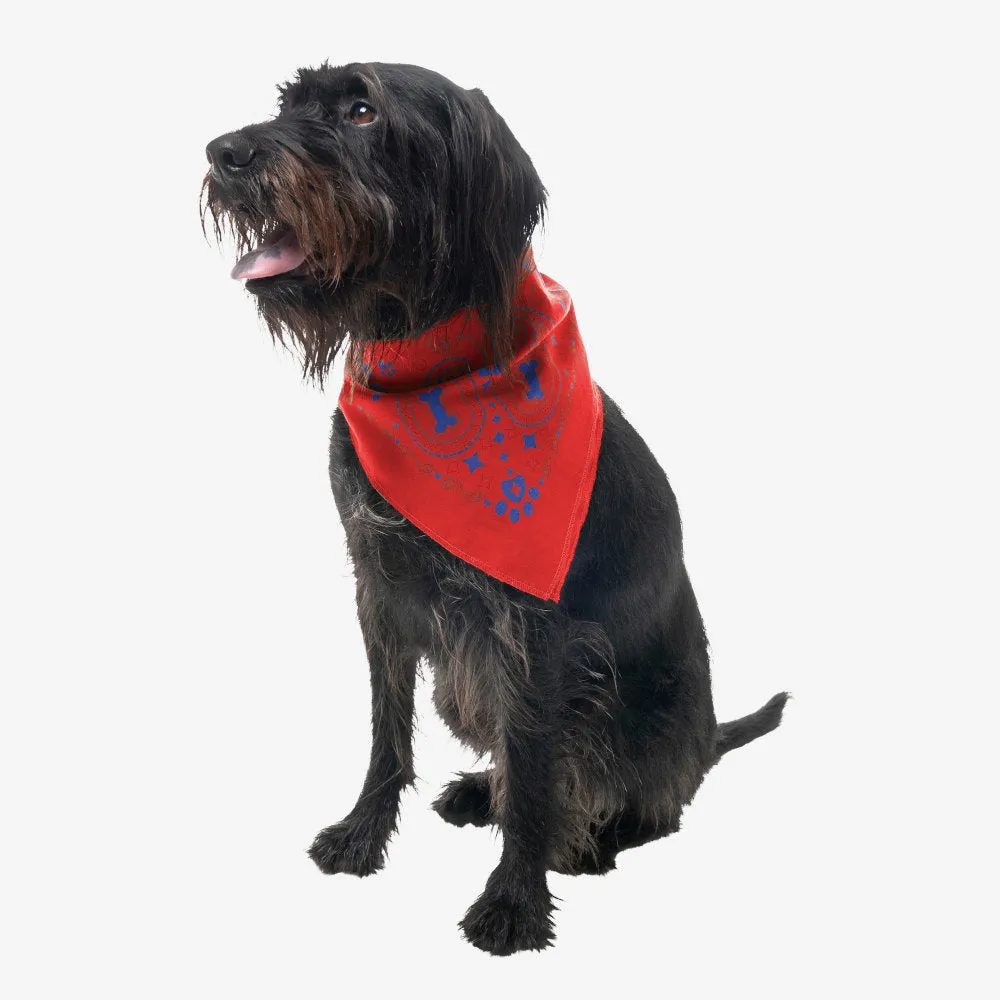 Insect Shield Paisley Flea & Tick Bandana For Dogs (Poppy)