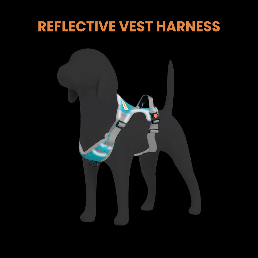 Kibbo Reflective Vest Harness with Dual Lock Buckle for Dogs (Sea Green)