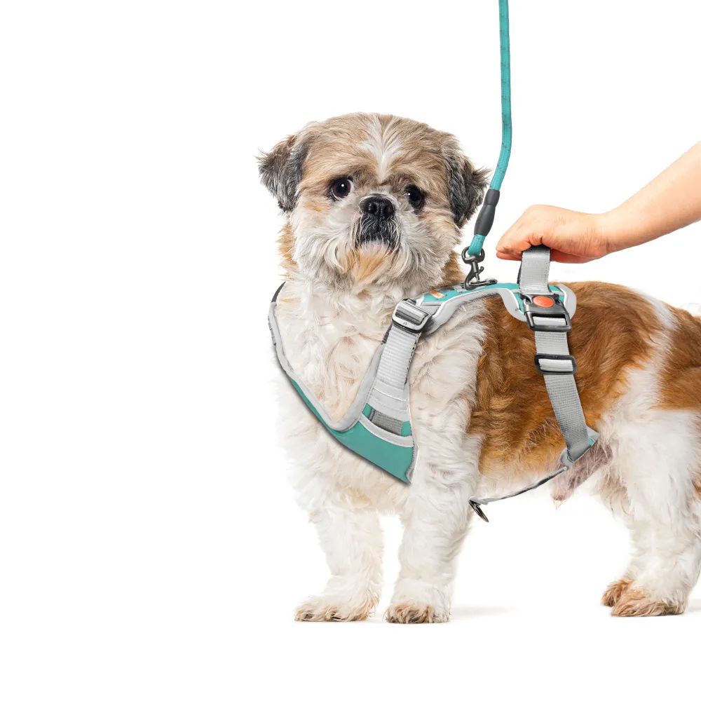 Kibbo Reflective Vest Harness with Dual Lock Buckle for Dogs (Sea Green)