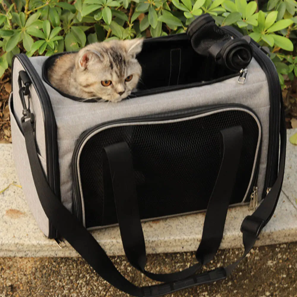 PAWS ASIA AliExpress Best Sell Collapsible Portable Transportation Outdoor Cat Travel Cage Dog Carrier Bag
