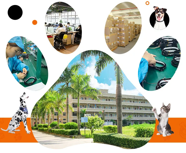 PAWS ASIA Suppliers Dropshipping Multi Color Collapsible Travel Portable Slow Feeder Raised Pet Bowl Dog Cat On Sale