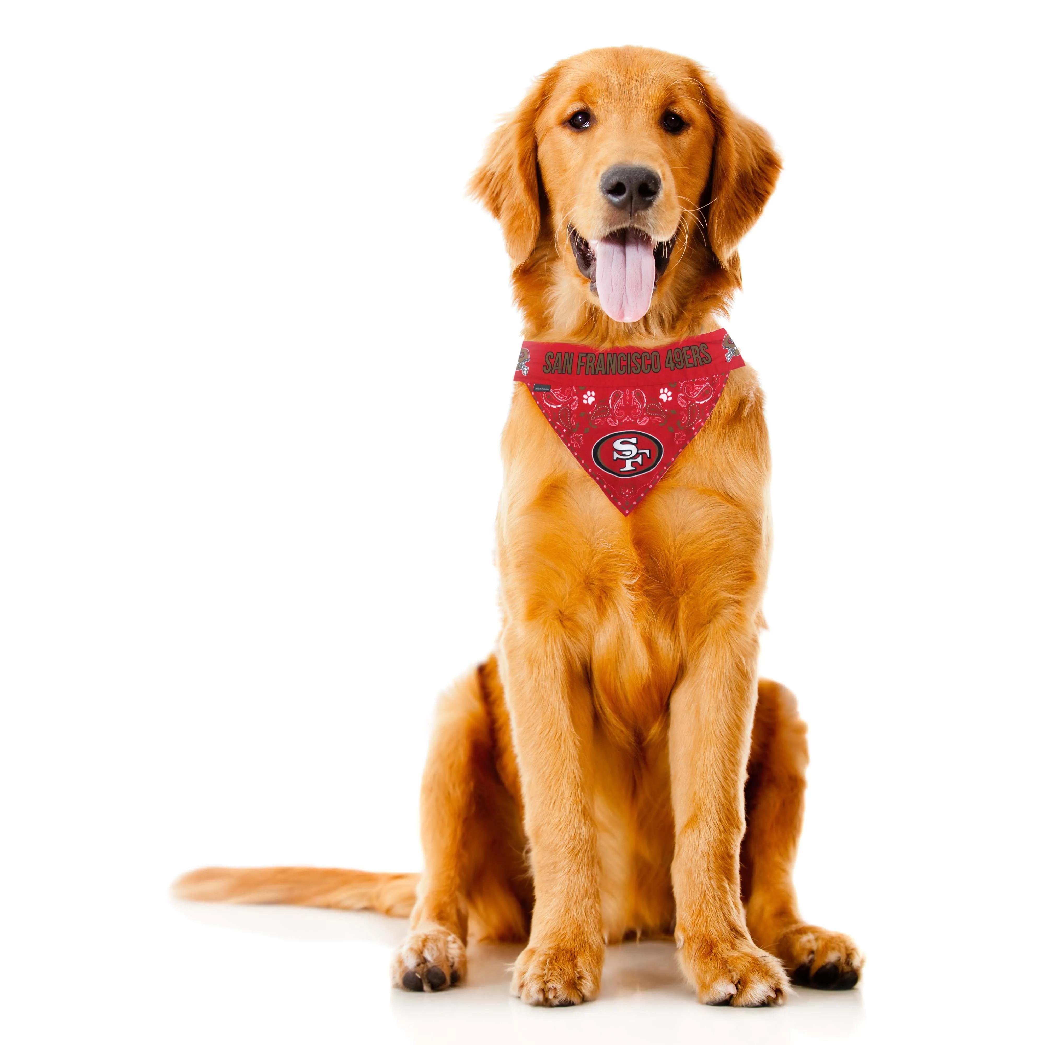 San Francisco 49ers Pet Bandana