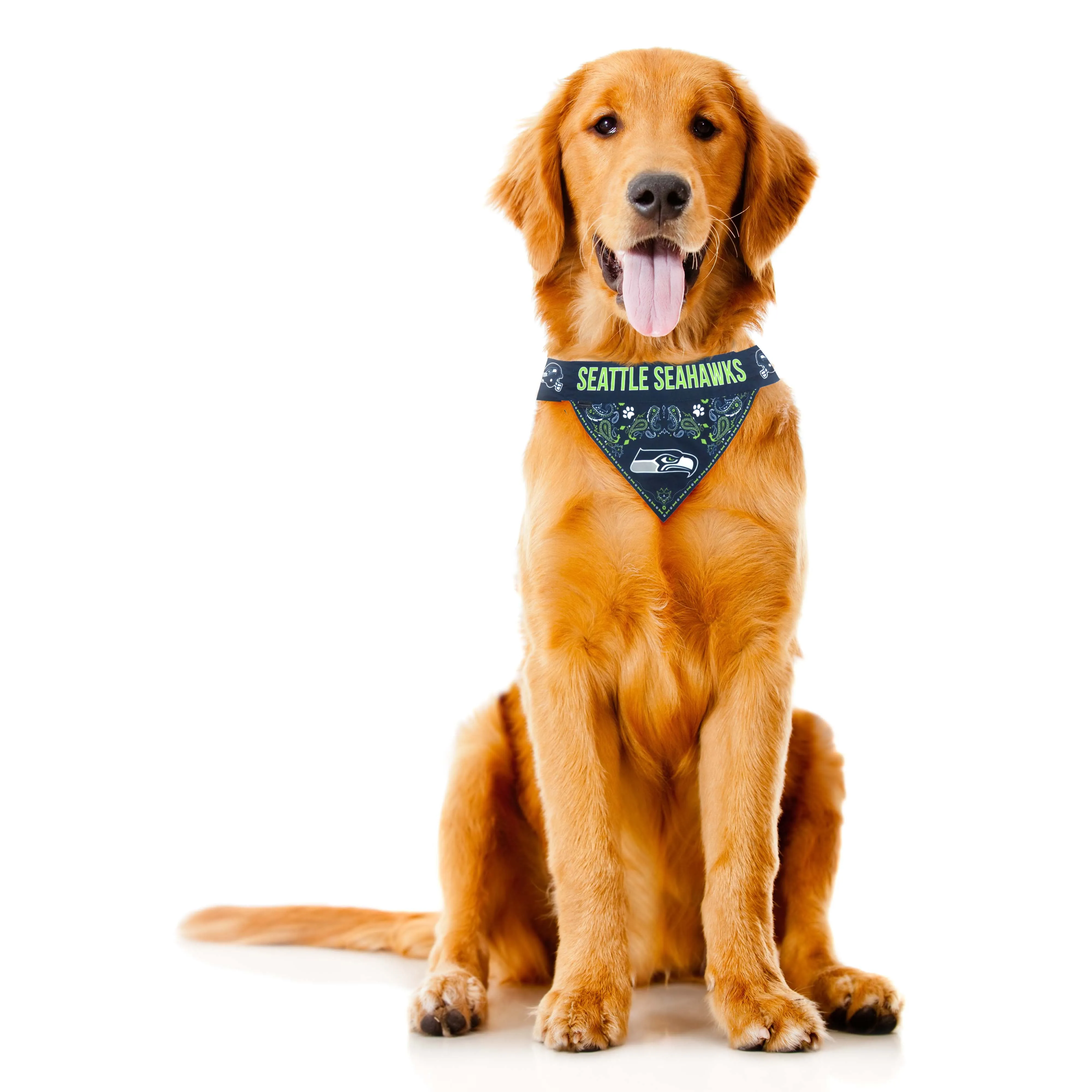 Seattle Seahawks Pet Bandana