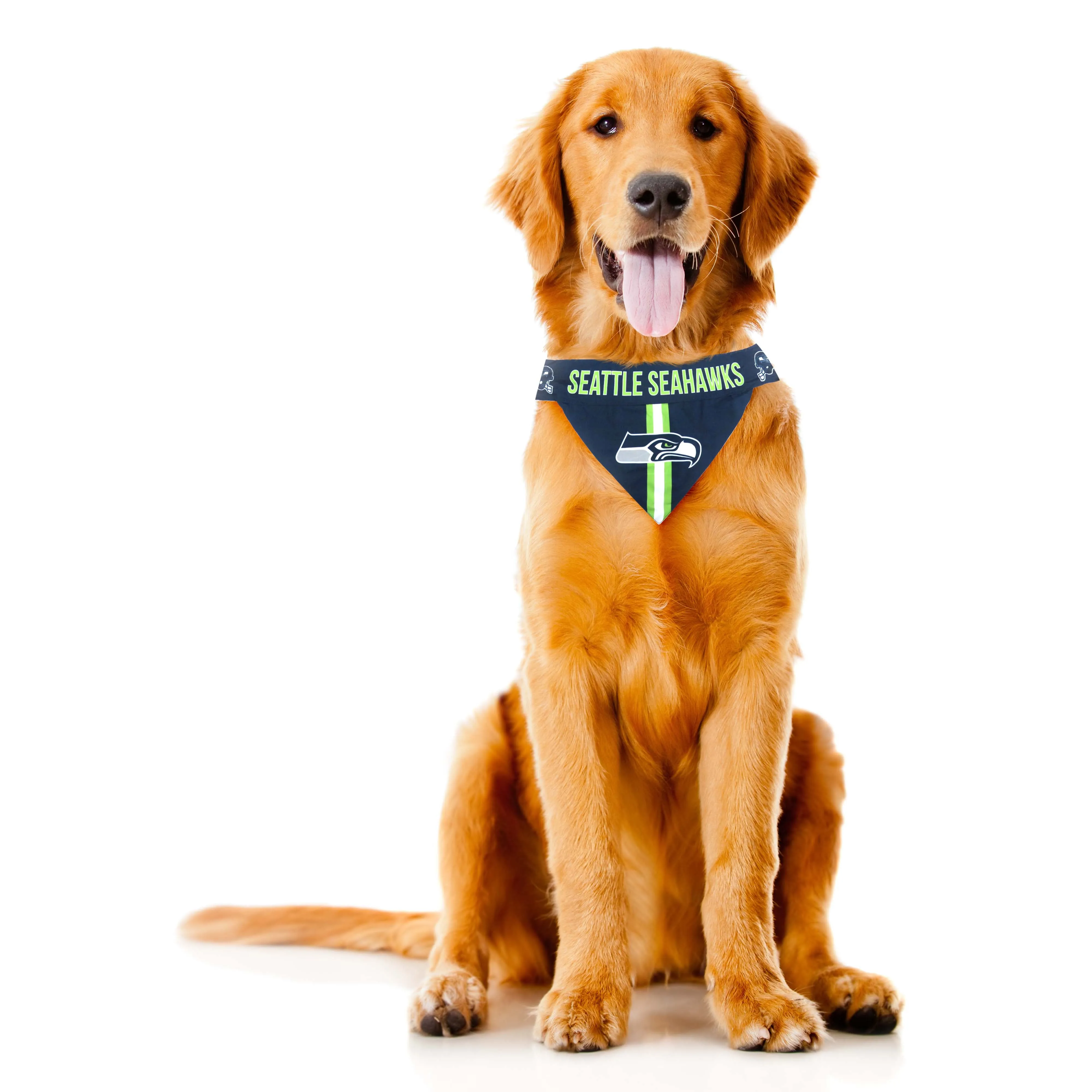 Seattle Seahawks Pet Bandana