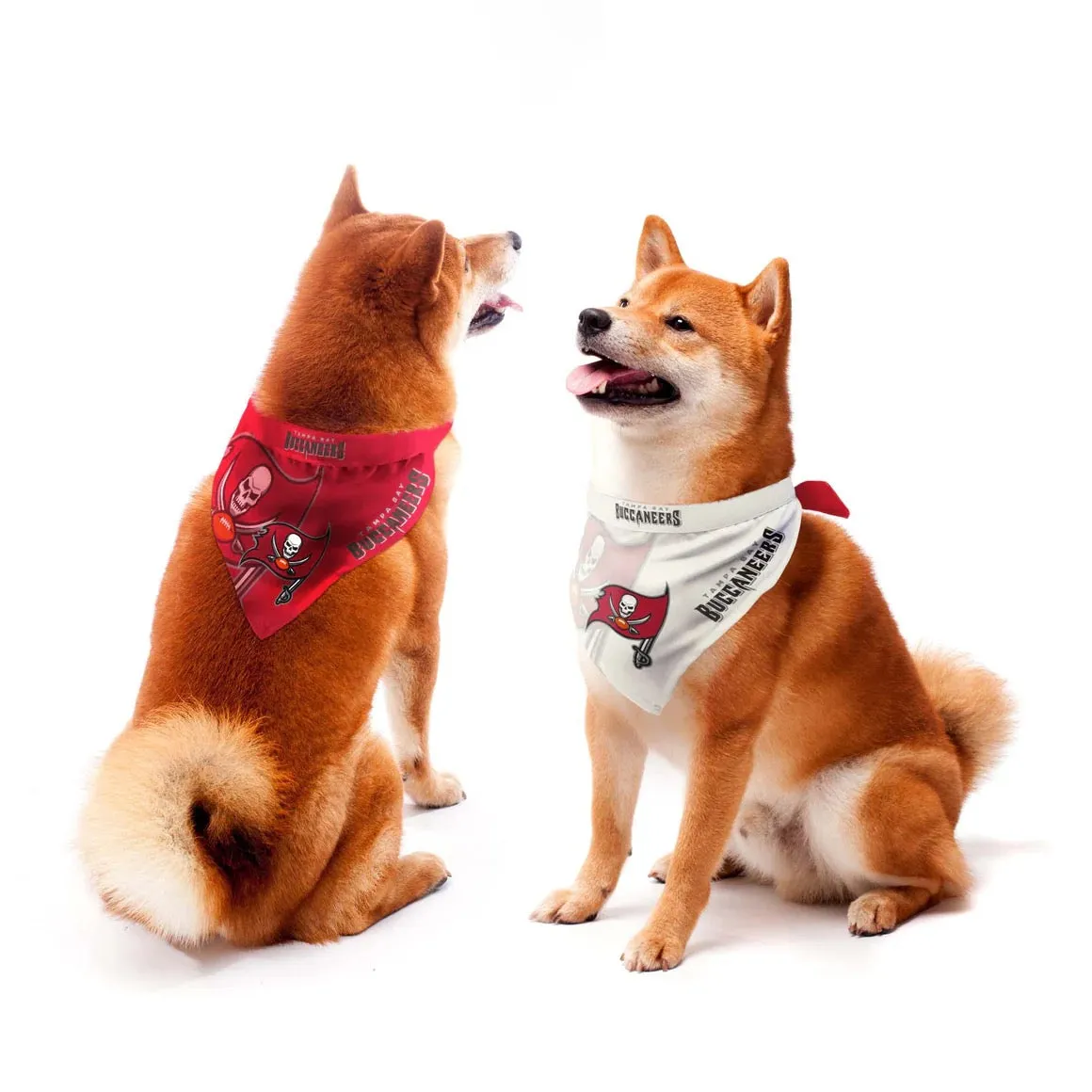 Tampa Bay Buccaneers Home and Away Pet Bandana Set
