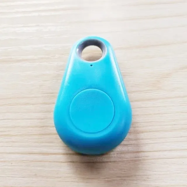Trendy GPS Mini Anti-Lost Bluetooth Tracer For Pets