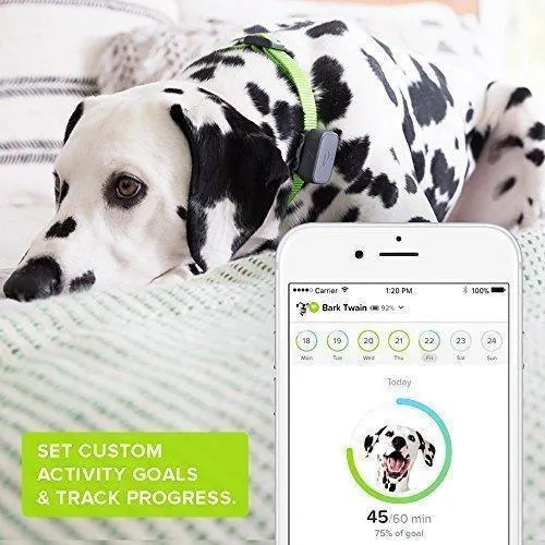 Whistle 3 GPS Pet Tracker & Activity Monitor